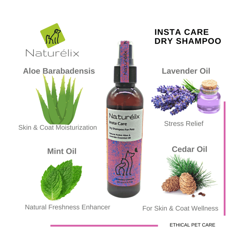 Naturelix Insta Care Dry Shampoo for Dogs - Waterless Dog Shampoo Cleanser, 200ml - Wagr - The Smart Petcare Platform