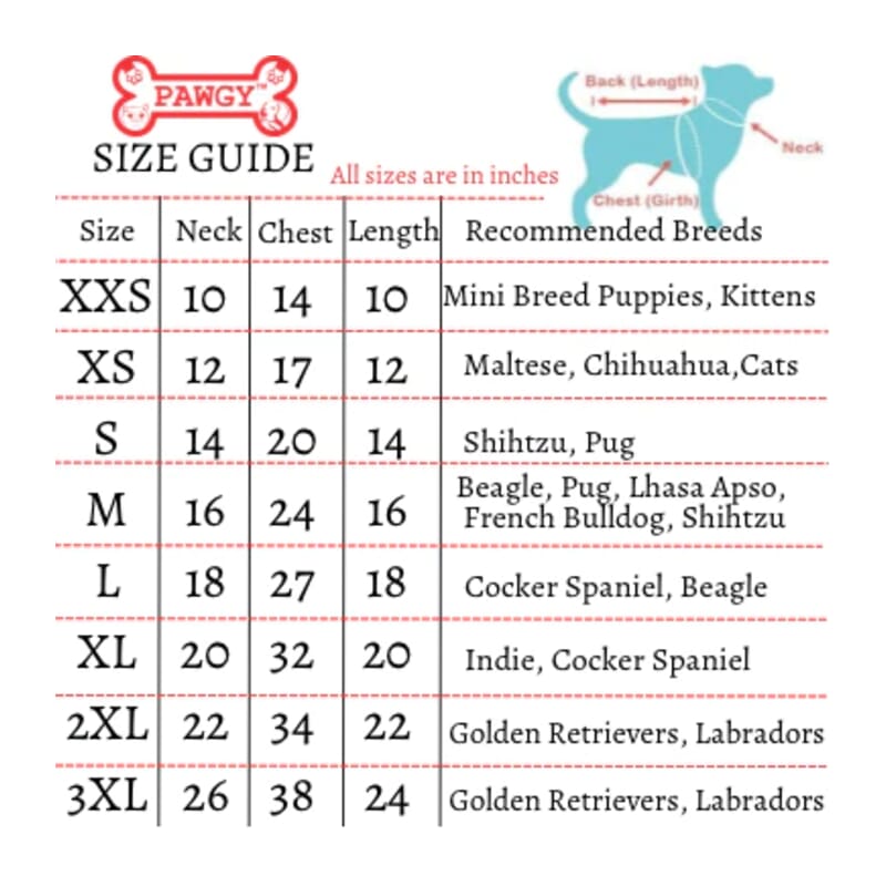 Pawgy Pets Evil Eye Dress - Wagr Petcare