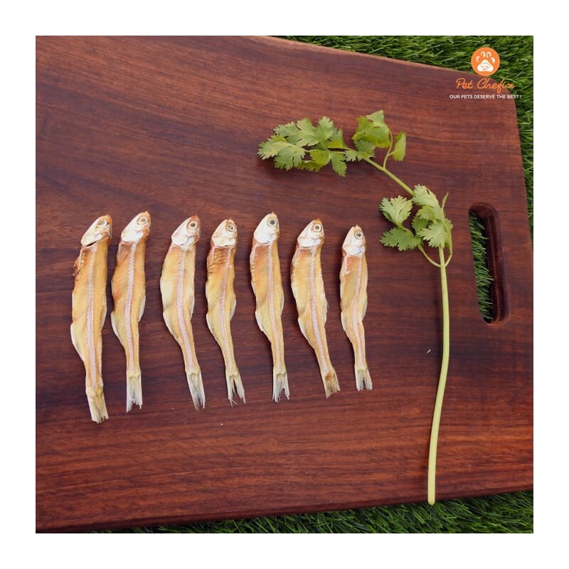 Pet Chefin Anchovies - Wagr - The Smart Petcare Platform