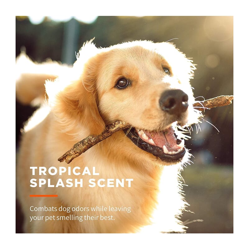 Pet Clean Pet Grooming Wipes - Wagr Petcare