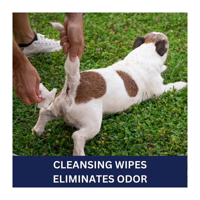Pet Clean Pet Tushie Wipes - Wagr Petcare