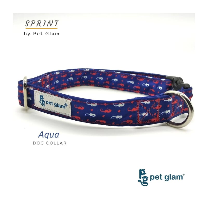 Pet Glam Dog Collar, Aqua - Wagr - The Smart Petcare Platform