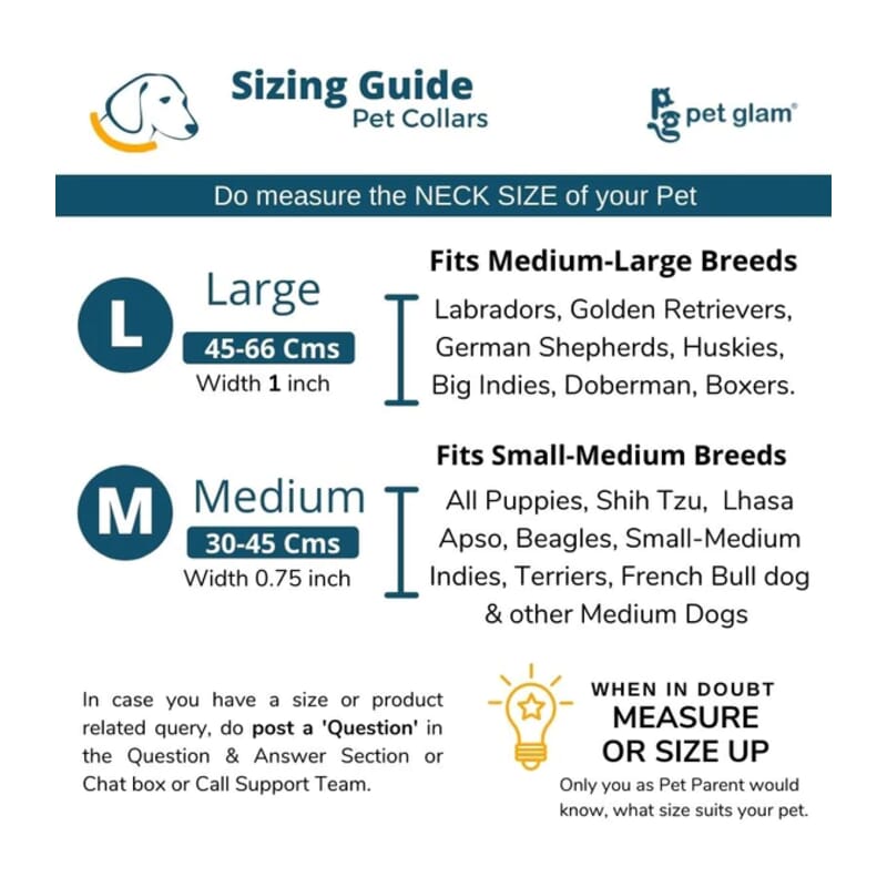 Pet Glam Dog Collar, Blaze - Wagr - The Smart Petcare Platform