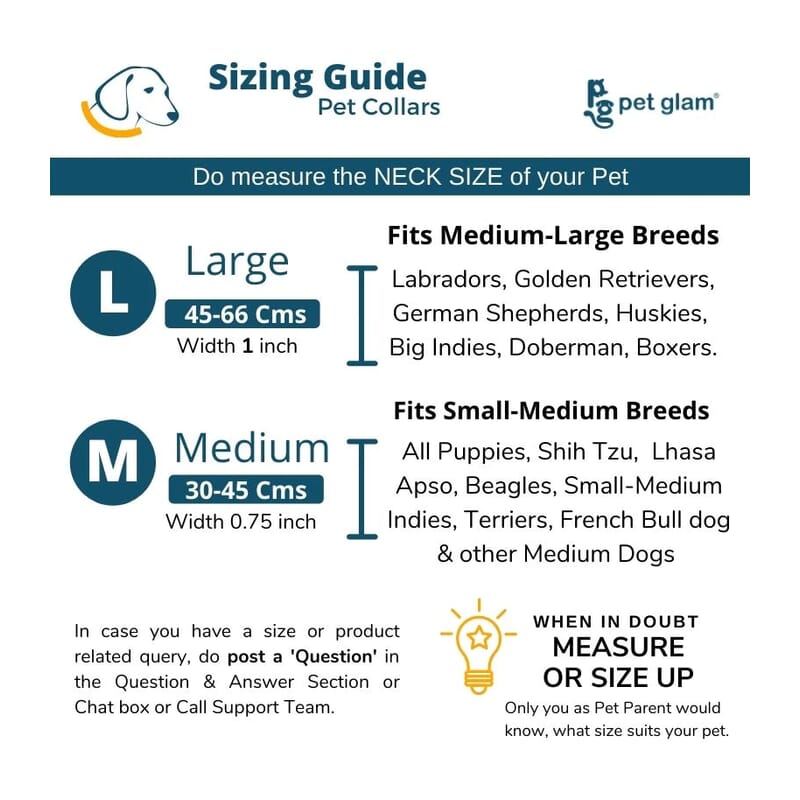 Pet Glam Dog Collar, Bravo - Wagr - The Smart Petcare Platform