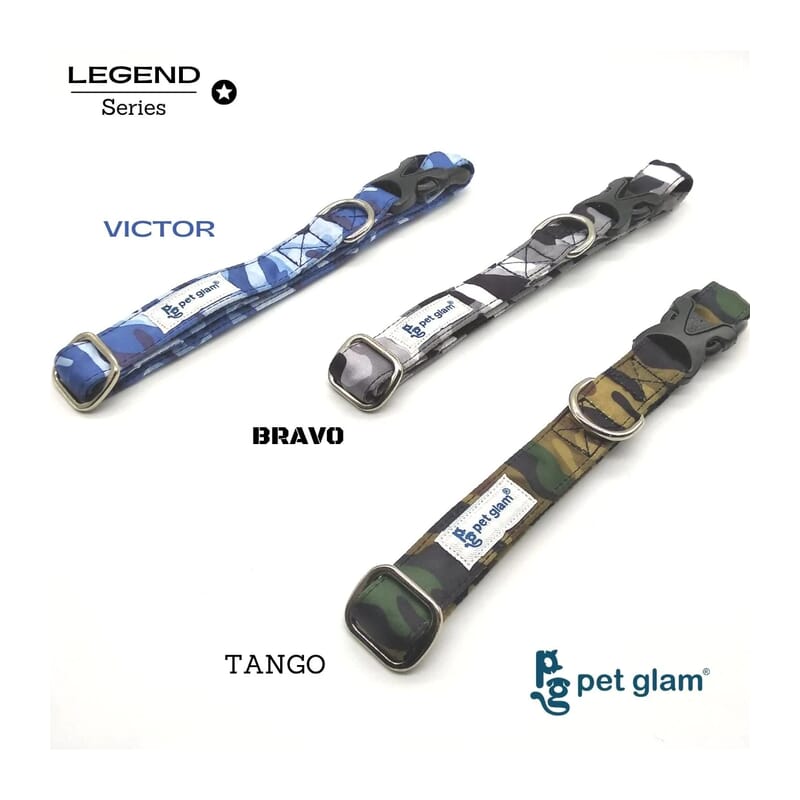 Pet Glam Dog Collar, Bravo - Wagr - The Smart Petcare Platform