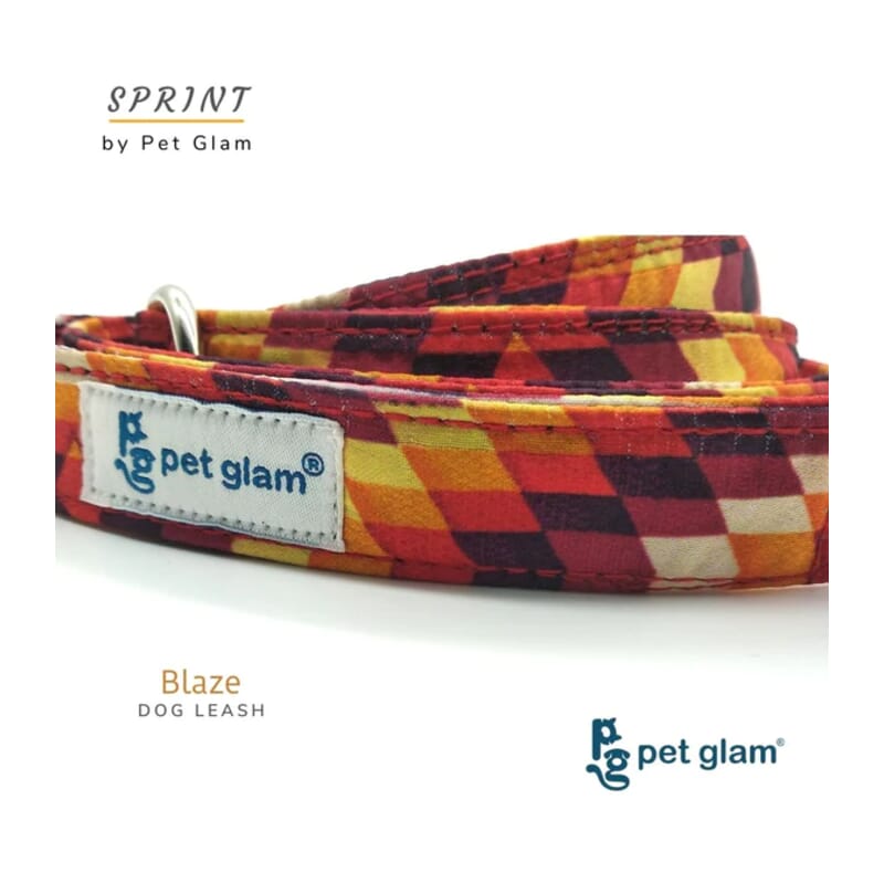 Pet Glam Dog Leash For Puppies And Large Dogs, Blaze - Soft Handle Strong Dog Leash - Wagr - The Smart Petcare Platform