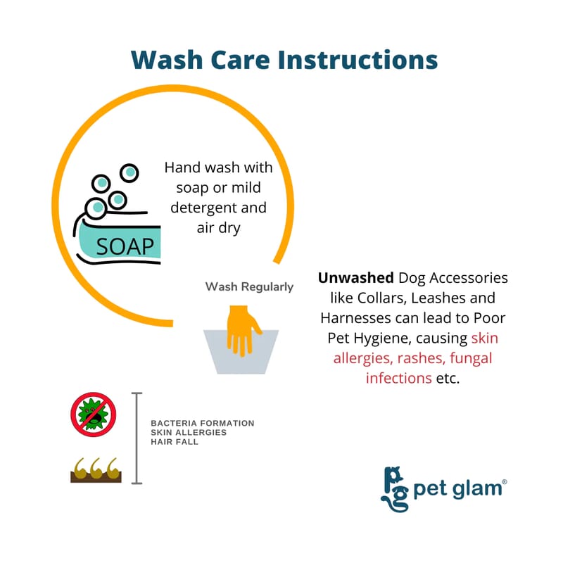 Pet Glam Dog Leash For Small Dogs , Grace - for Big Dogs with Padded Handle - Wagr - The Smart Petcare Platform