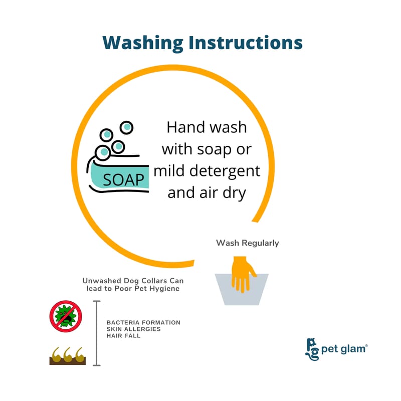 Pet Glam Dog Leash, Riley - with Soft Handle heavy Duty Hardware - Wagr - The Smart Petcare Platform