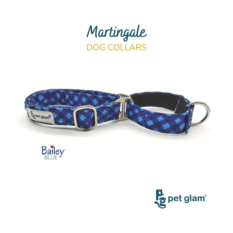 Pet Glam Martingale Dog Collar, Bailey Blue - Wagr - The Smart Petcare Platform