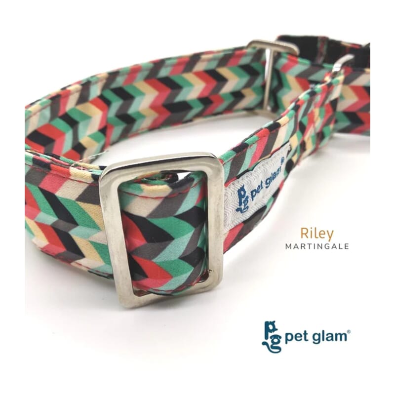 Pet Glam Martingale Dog Collar, Riley - Wagr - The Smart Petcare Platform