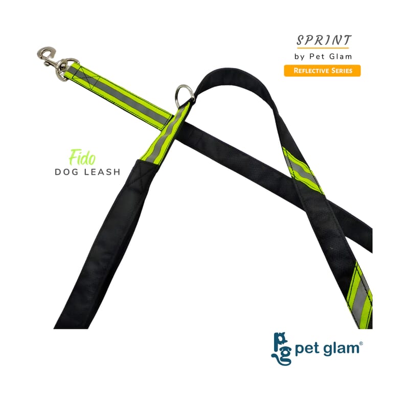 Pet Glam Reflective Dog Leash, Fido - Soft Padded Handle Leash For Dogs - Wagr - The Smart Petcare Platform