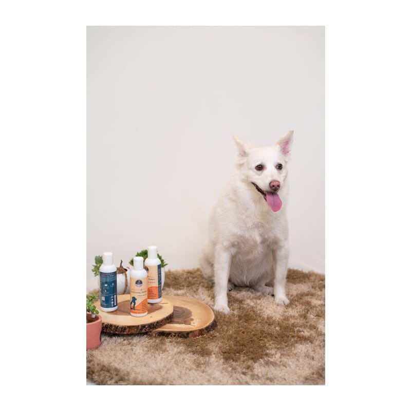 Petsnugs Anti Tick & Flea Shampoo - Wagr Petcare