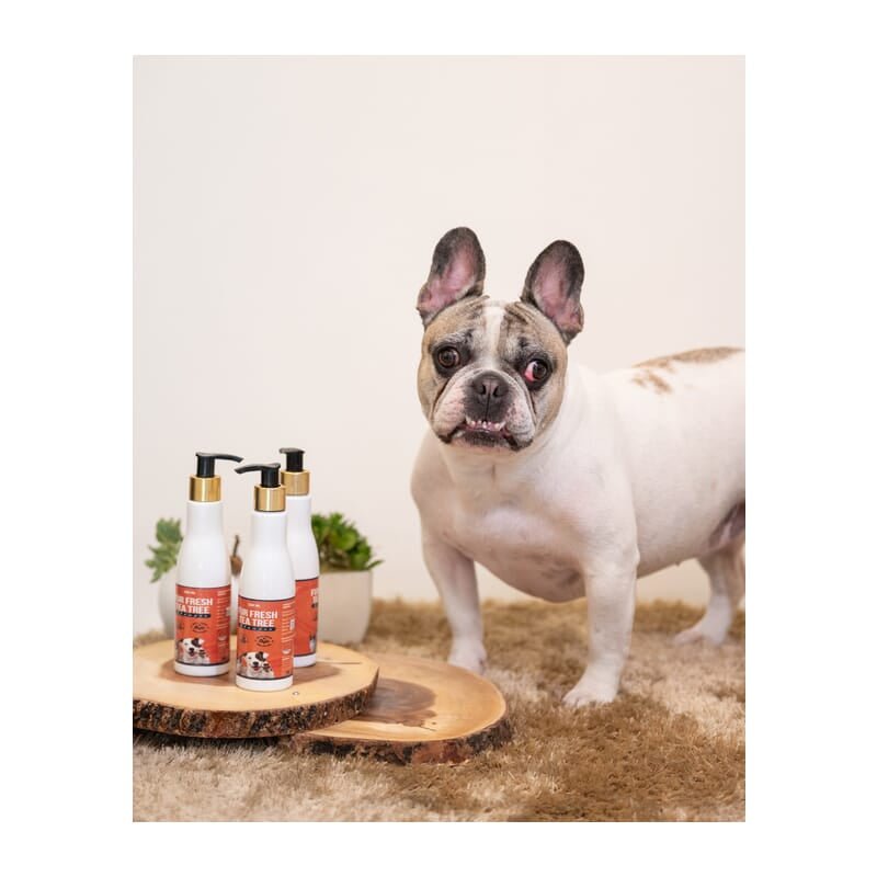 Petsnugs Fur Fresh Tea Tress Shampoo - Wagr Petcare