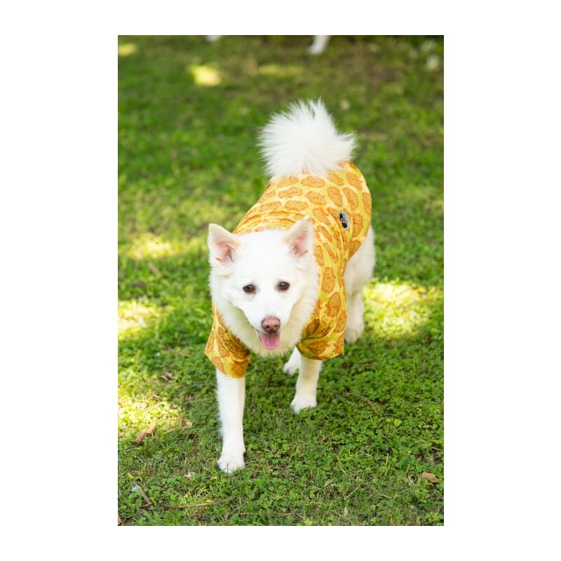 Petsnugs Traditional Green Printed Kurta - Wagr Petcare