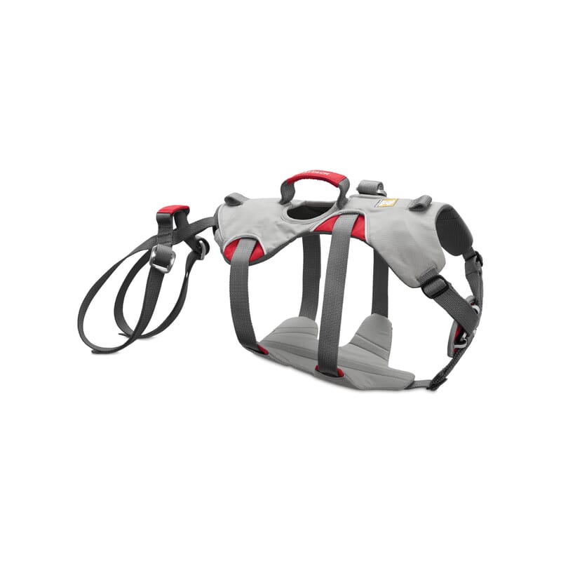 Ruffwear Double Back Harness Cloudburst Gray -Medium - Wagr - The Smart Petcare Platform