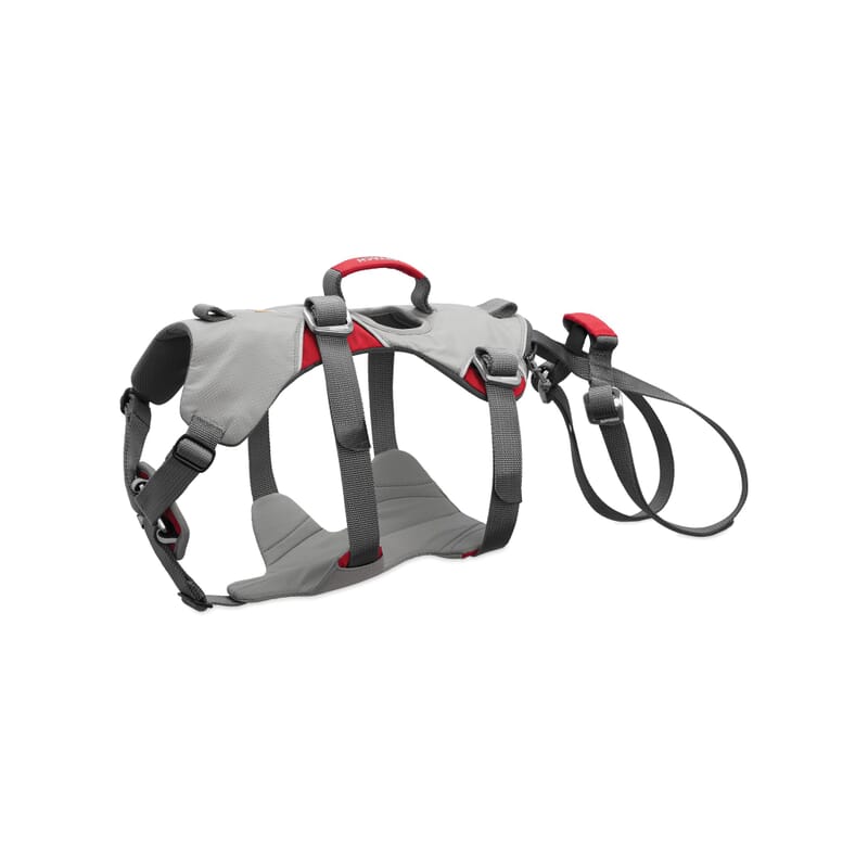 Ruffwear Double Back Harness Cloudburst Gray -Medium - Wagr - The Smart Petcare Platform