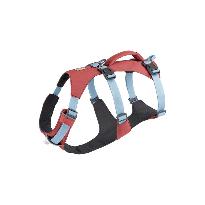 Ruffwear Flagline™ Harness for Dogs - Wagr - The Smart Petcare Platform