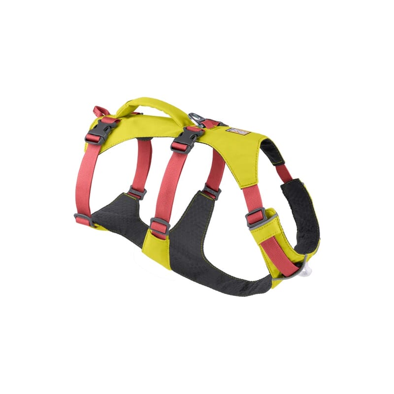 Ruffwear Flagline™ Harness for Dogs - Wagr - The Smart Petcare Platform