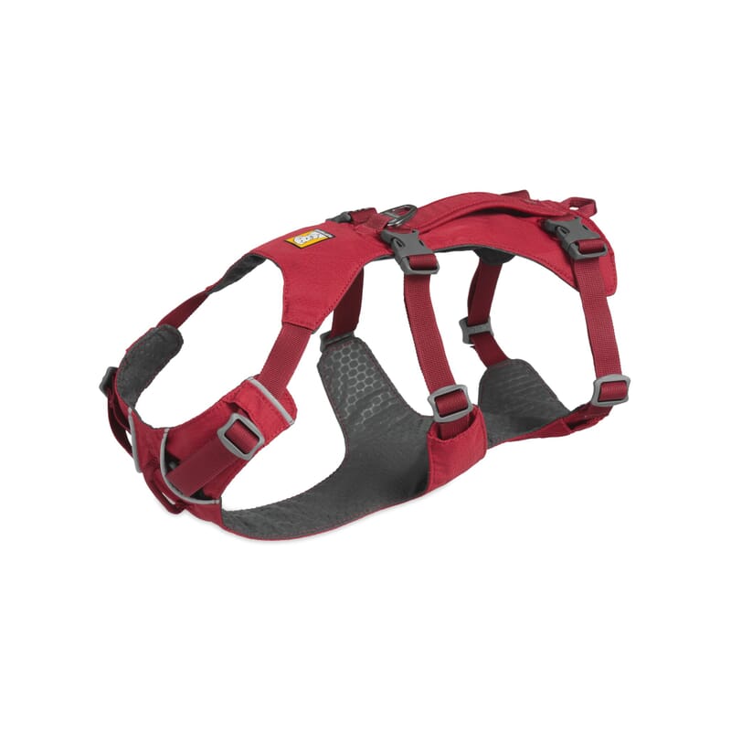 Ruffwear Flagline™ Harness for Dogs - Wagr - The Smart Petcare Platform