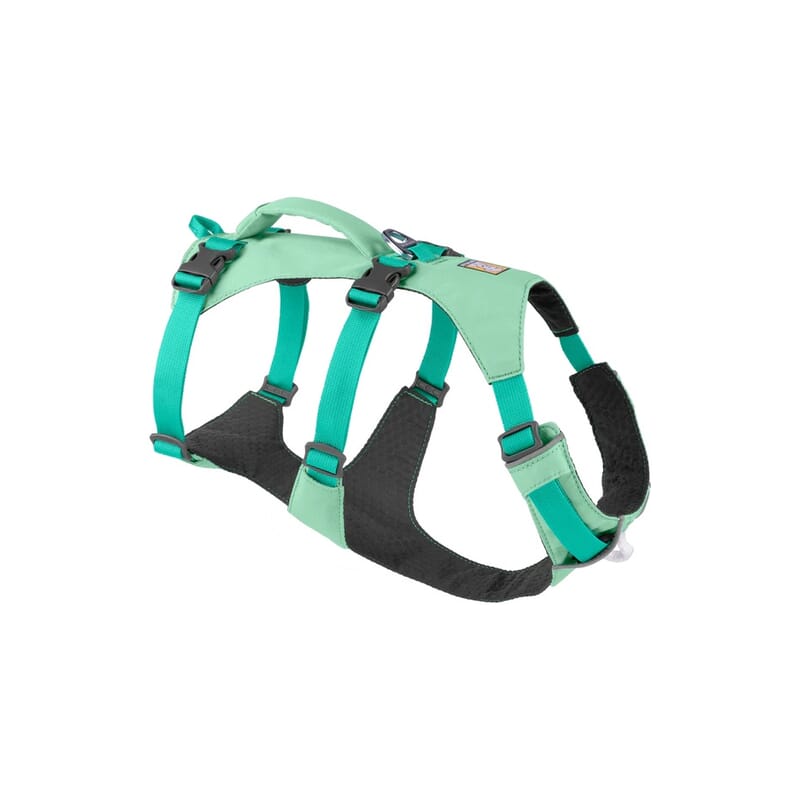 Ruffwear Flagline™ Harness for Dogs - Wagr - The Smart Petcare Platform
