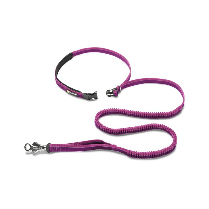 Ruffwear Roamer™ Leash for Dogs - Wagr - The Smart Petcare Platform