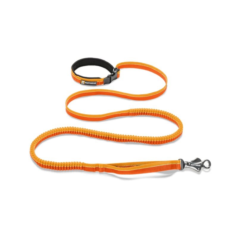Ruffwear Roamer™ Leash for Dogs - Wagr - The Smart Petcare Platform