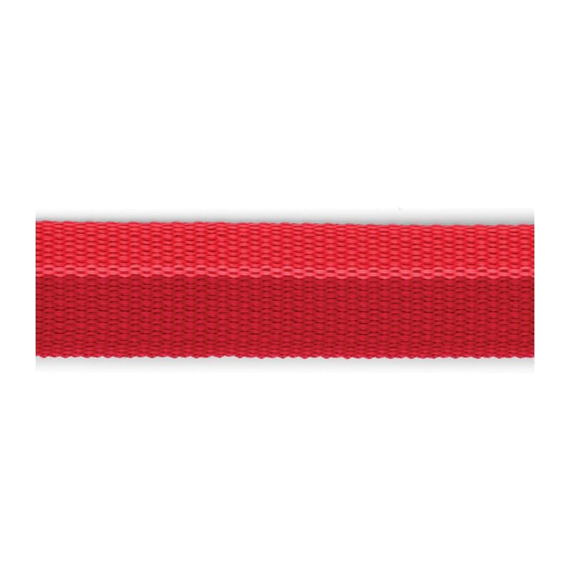 Ruffwear Roamer™ Leash for Dogs - Wagr - The Smart Petcare Platform