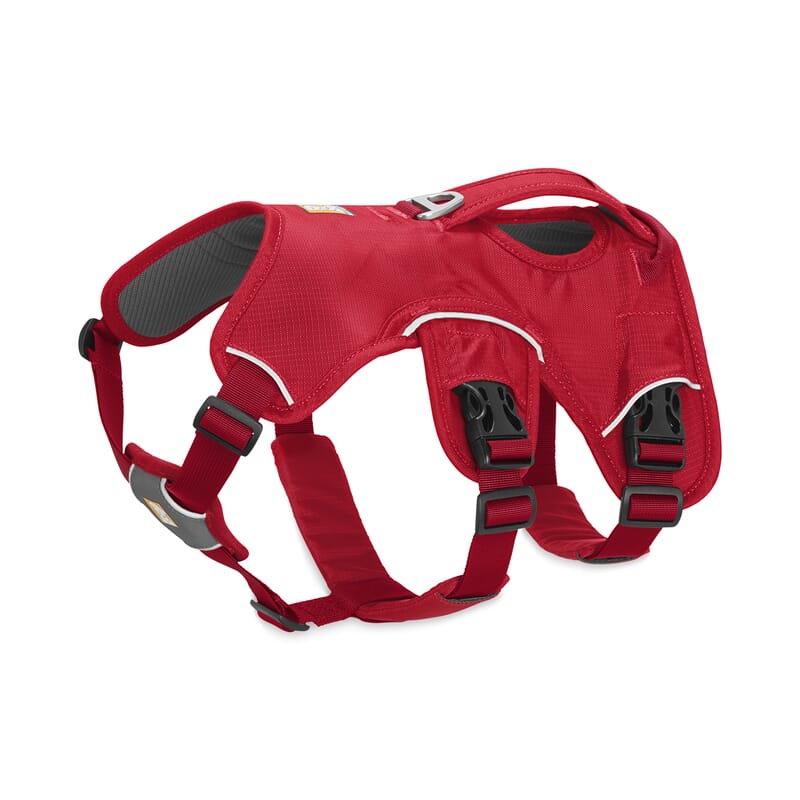 Ruffwear Web Master™ Harness for Dogs - Wagr - The Smart Petcare Platform