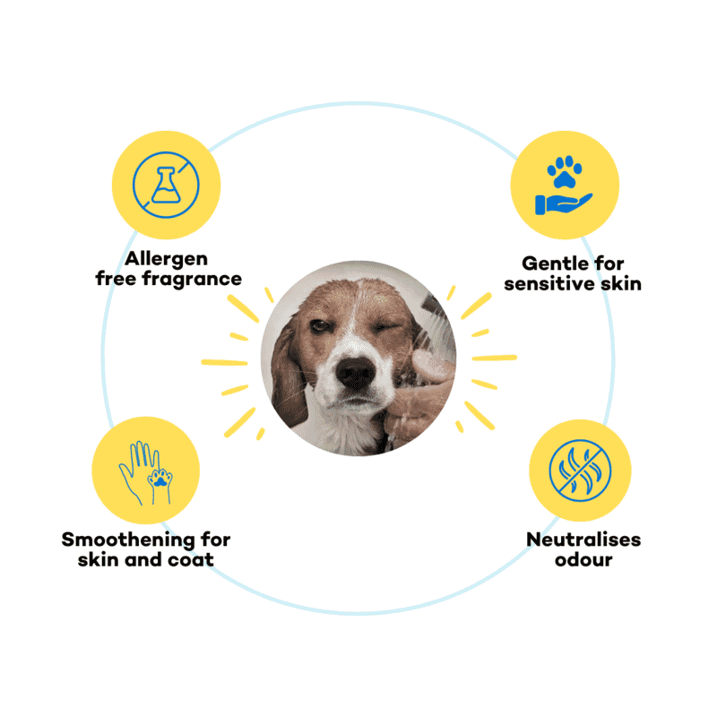 The Good Paws FRESSSSH AF Short Coat Smoothing Dog & Cat Shampoo with Jojoba & Castor Oil - Coconut Mint 250ml - Wagr Petcare