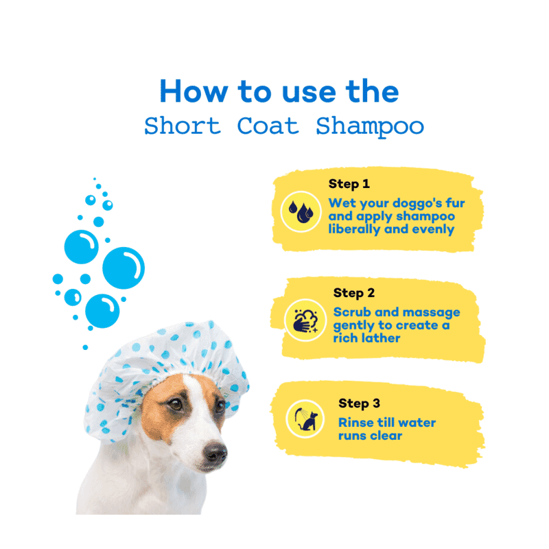The Good Paws FRESSSSH AF Short Coat Smoothing Dog & Cat Shampoo with Jojoba & Castor Oil - Coconut Mint 250ml - Wagr Petcare