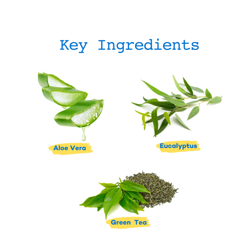 The Good Paws Tick Tick Boop Flea & Tick Relief Dog Shampoo with Eucalyptus & Lemongrass - Itch Soothing, 250ml - Wagr Petcare