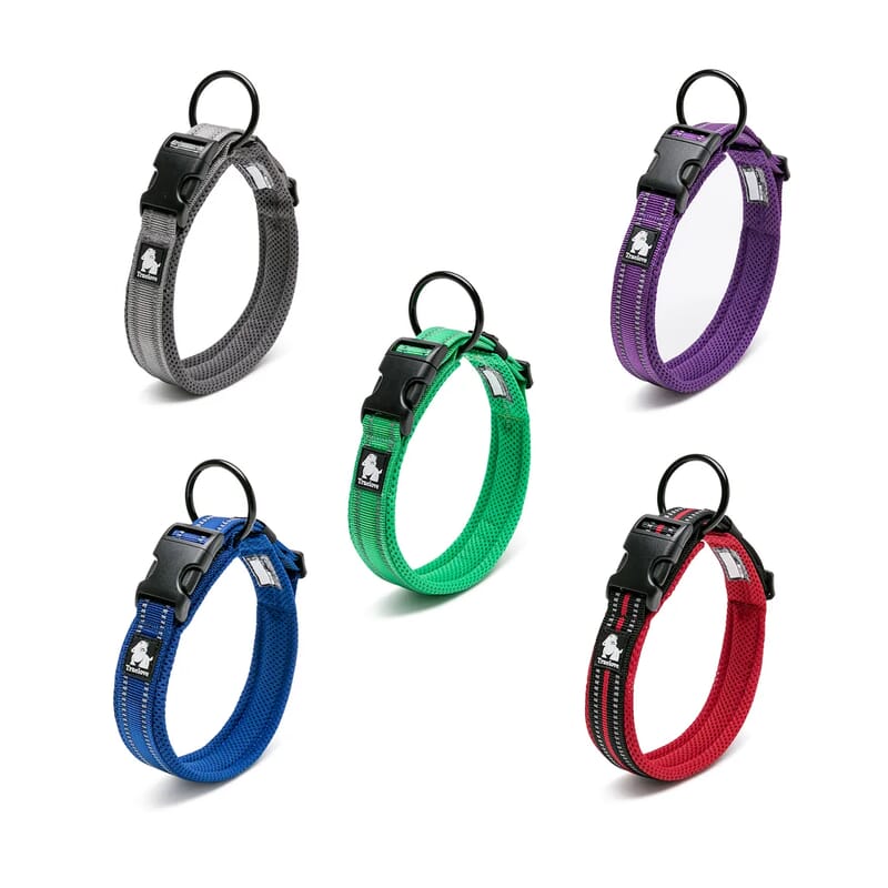 Truelove Classic Collar for Dogs - Wagr Petcare