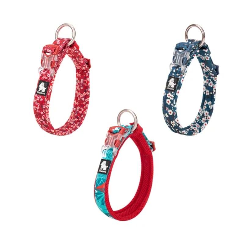 Truelove Floral Collar for Dogs - Wagr Petcare
