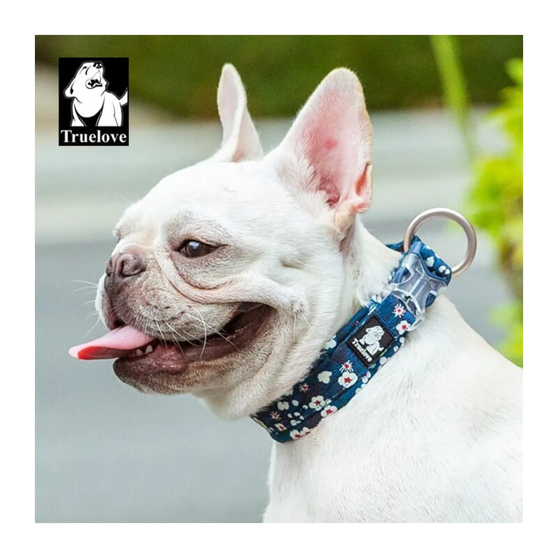 Truelove Floral Collar for Dogs - Wagr Petcare