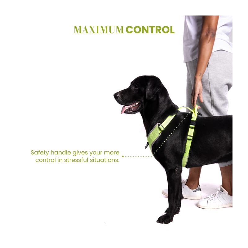 Truelove Harness With Reflective Fabric for Dogs - Wagr Petcare