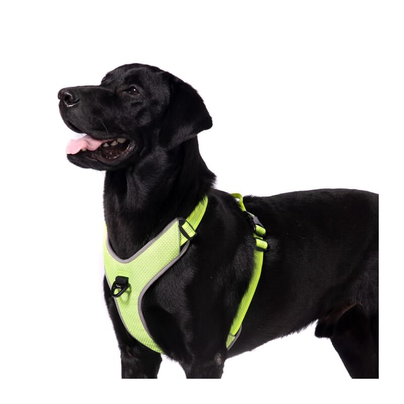 Truelove Harness With Reflective Fabric for Dogs - Wagr Petcare