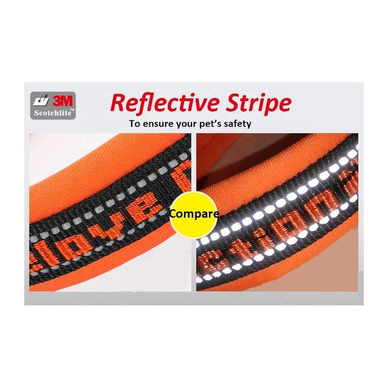 Truelove Neo-padded Collar for Dogs - Wagr Petcare