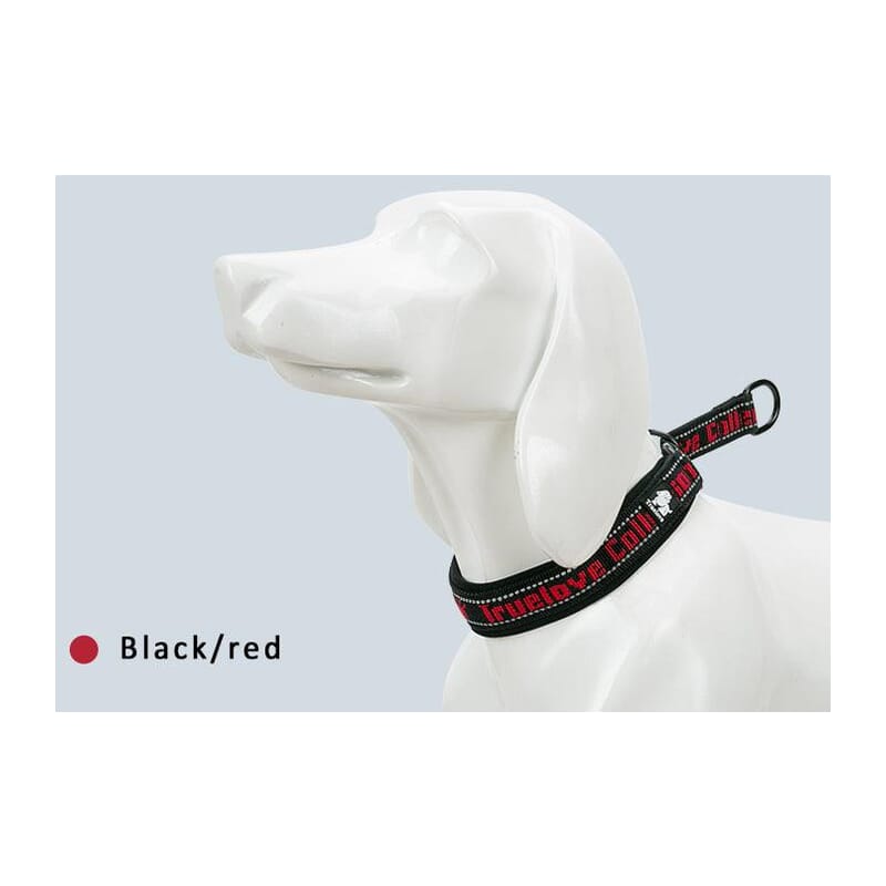 Truelove Neo-padded P-chain Collar for Dogs - Wagr Petcare