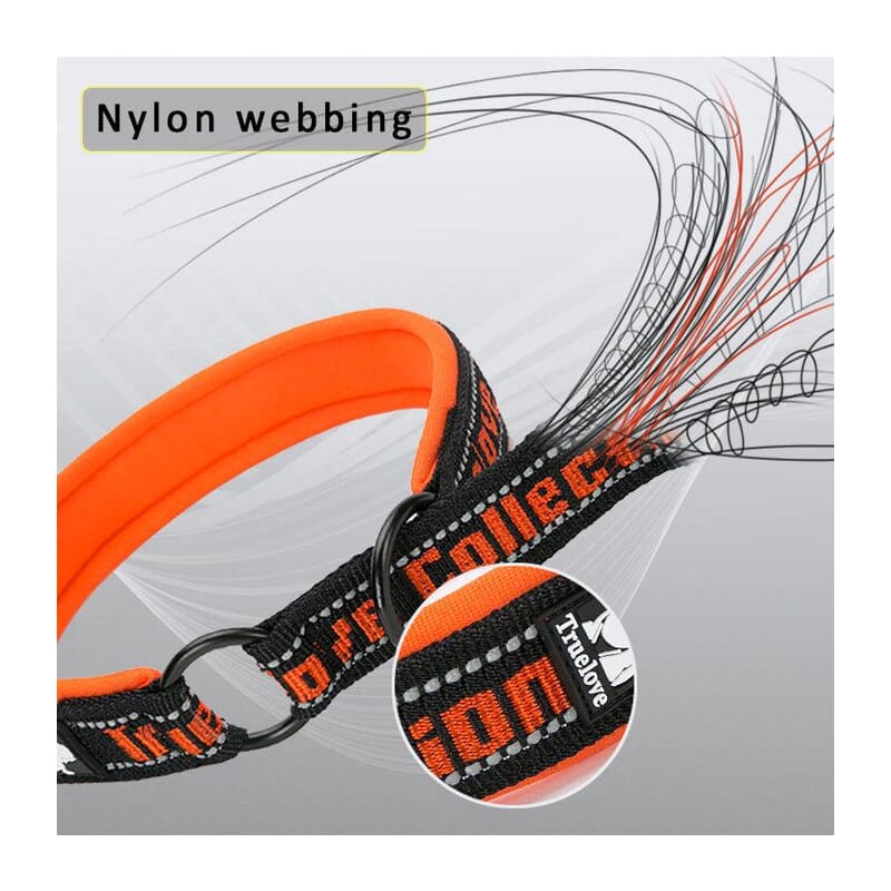 Truelove Neo-padded P-chain Collar for Dogs - Wagr Petcare