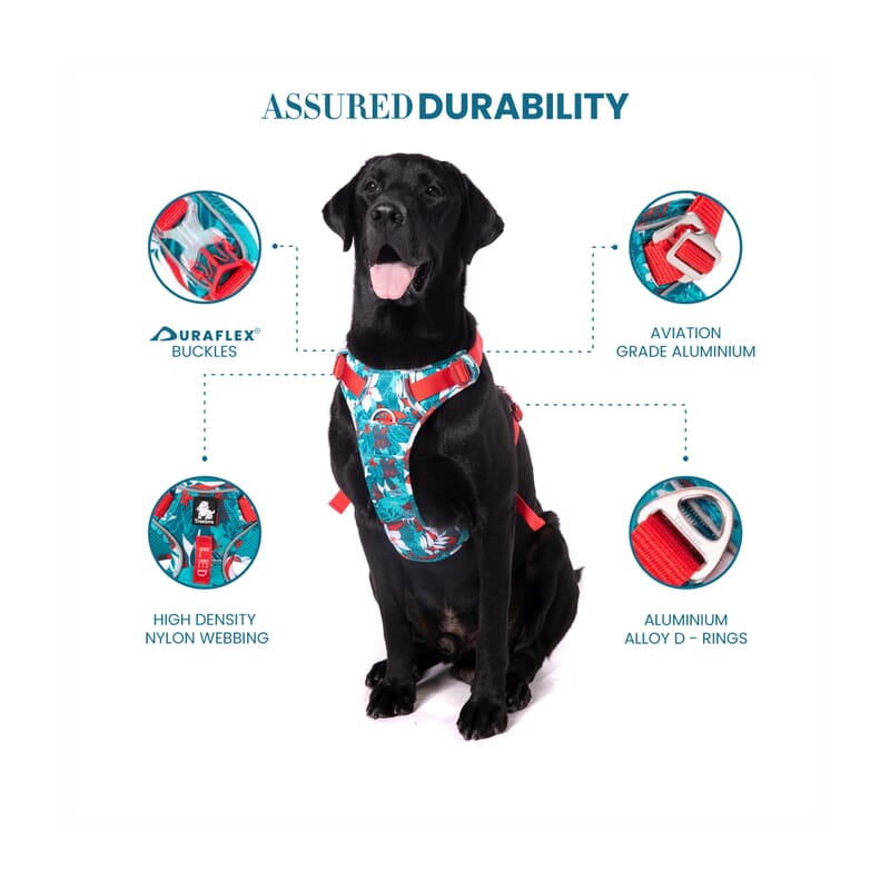 Truelove No-pull Special Edition Harness for Dogs - Wagr Petcare