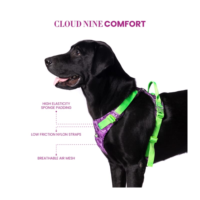 Truelove No-pull Special Edition Harness for Dogs - Wagr Petcare