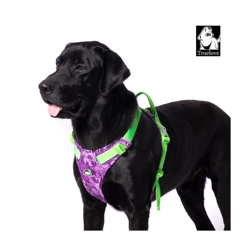 Truelove No-pull Special Edition Harness for Dogs - Wagr Petcare