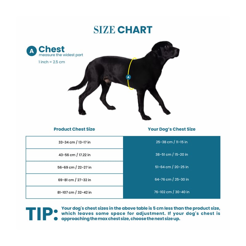 Truelove No-pull Special Edition Harness for Dogs - Wagr Petcare
