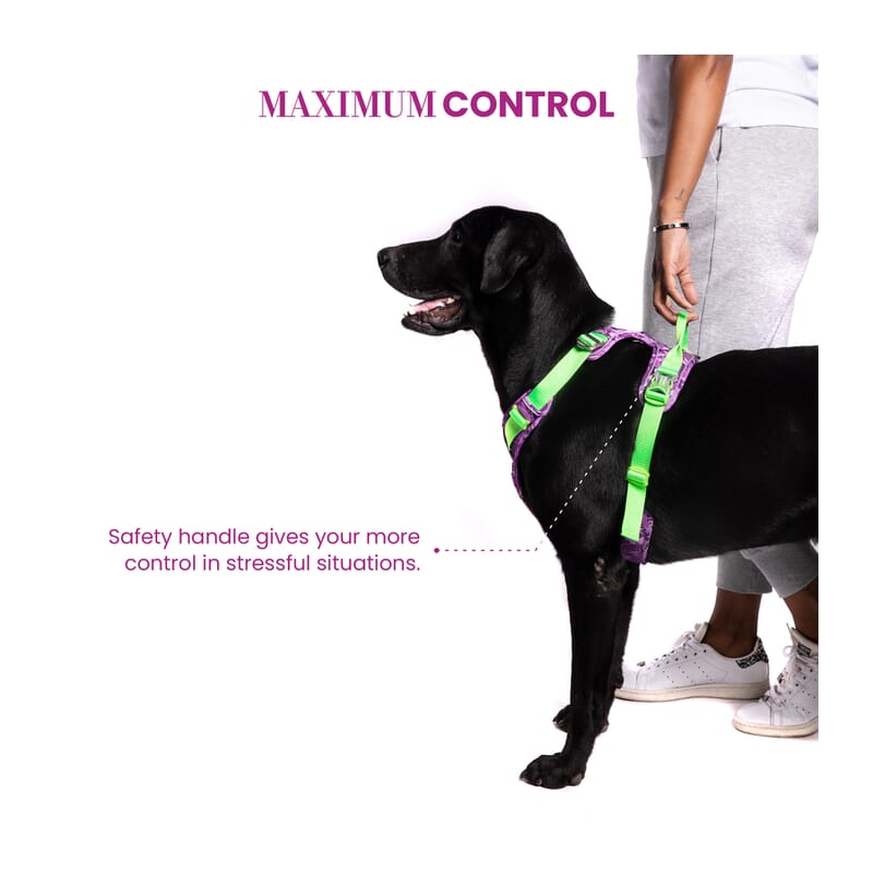 Truelove No-pull Special Edition Harness for Dogs - Wagr Petcare
