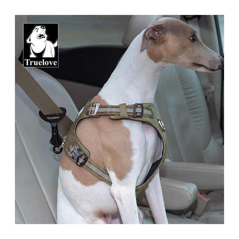 Truelove Seat Belt Hook - Wagr Petcare
