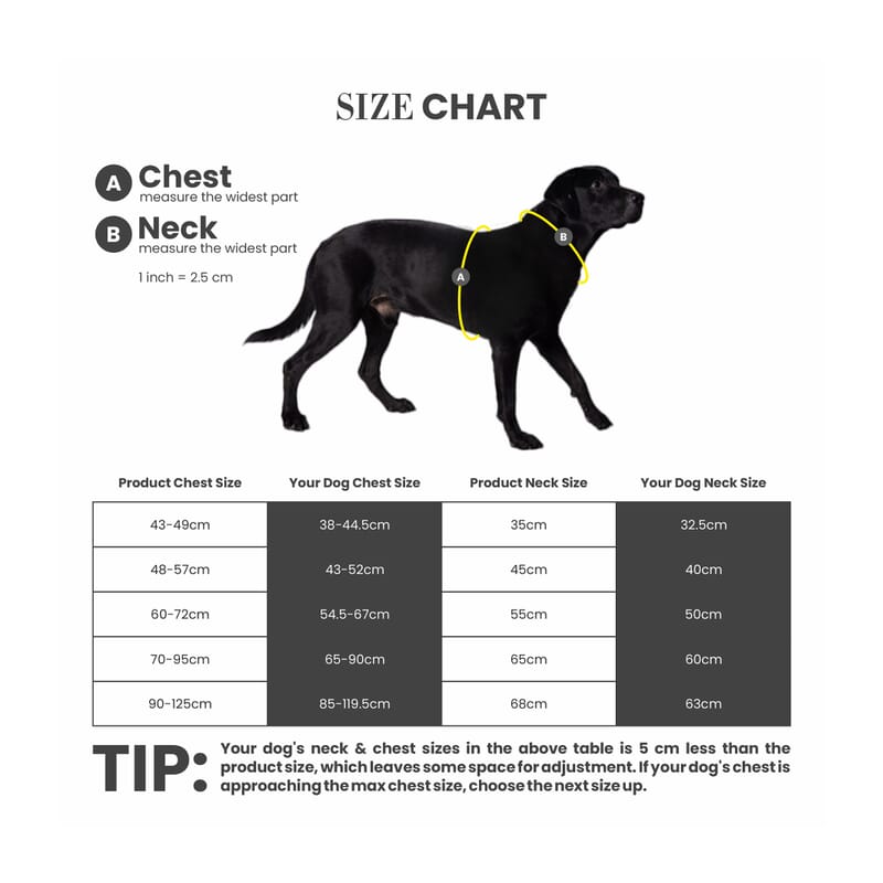 Truelove Sports Harness for Dogs - Wagr Petcare