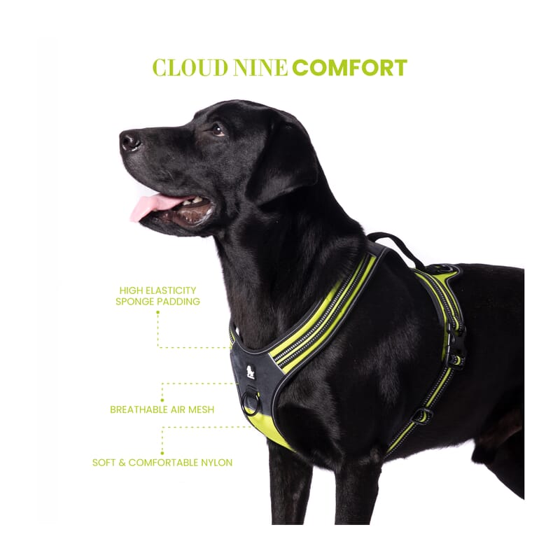 Truelove Sports Harness for Dogs - Wagr Petcare