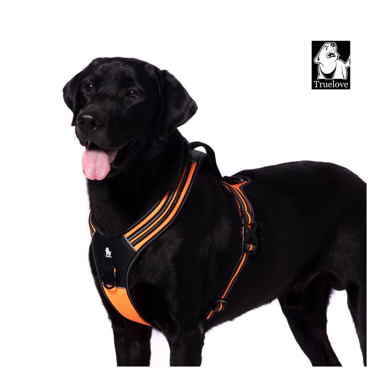 Truelove Sports Harness for Dogs - Wagr Petcare