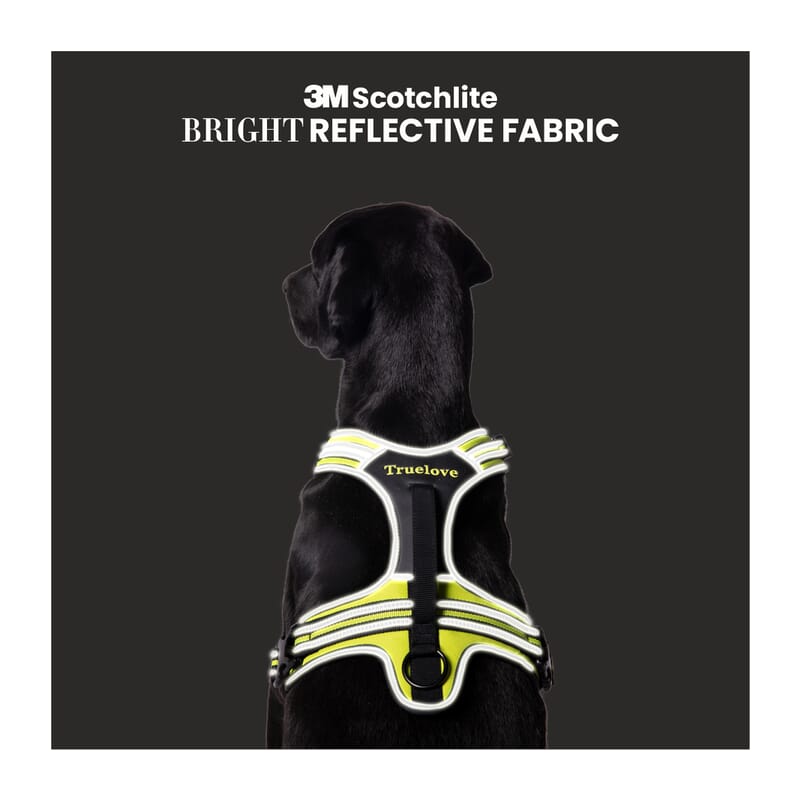 Truelove Sports Harness for Dogs - Wagr Petcare