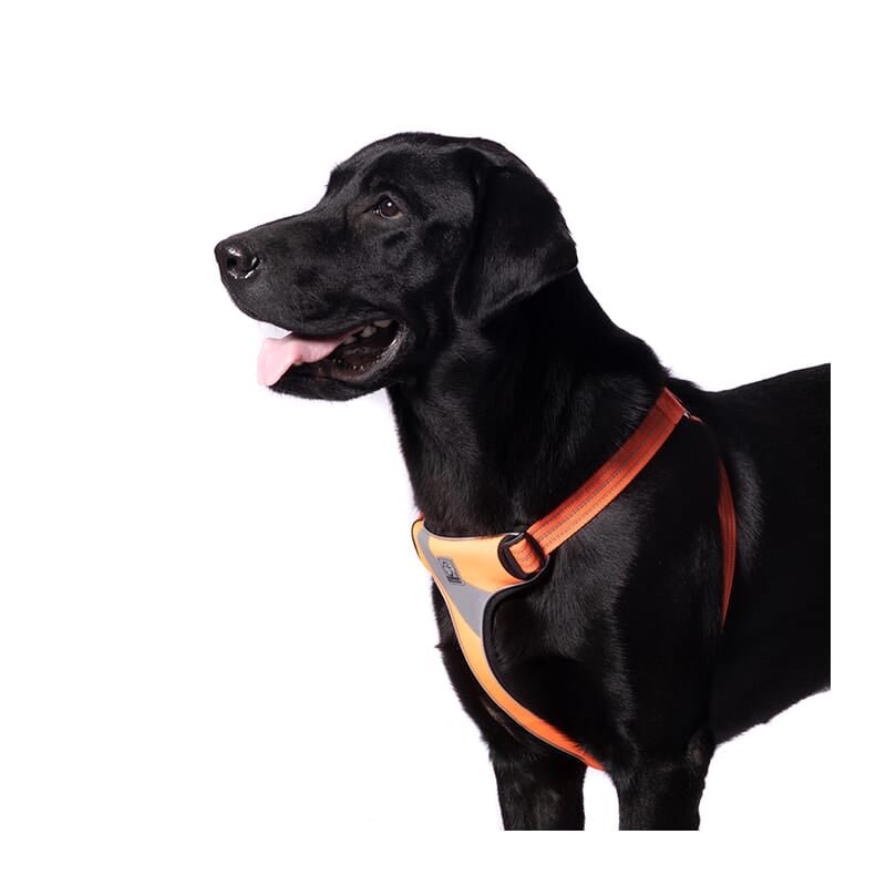 Truelove Step-in Harness With 3M for Dogs - Wagr Petcare